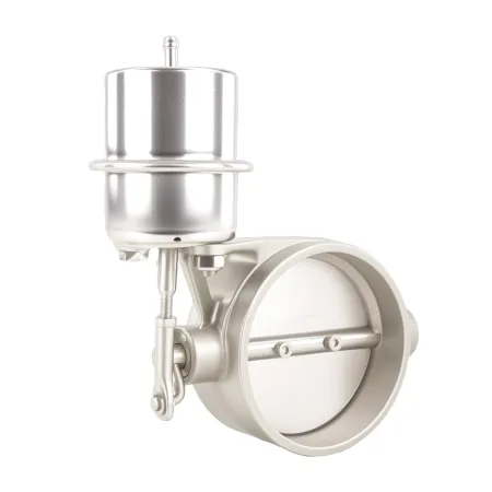 Podciśnieniowa przepustnica z zestawem sterującym 51mm 2”