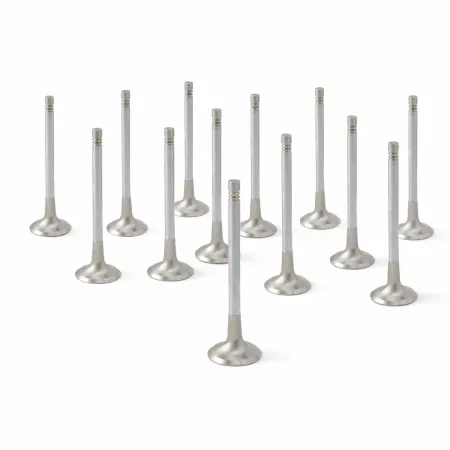 ZRP Std Zestaw Zaworów Wydechowych Zawory Wydechowe Inconel do Lamborghini 5.2L Gallardo Huracan 2008-