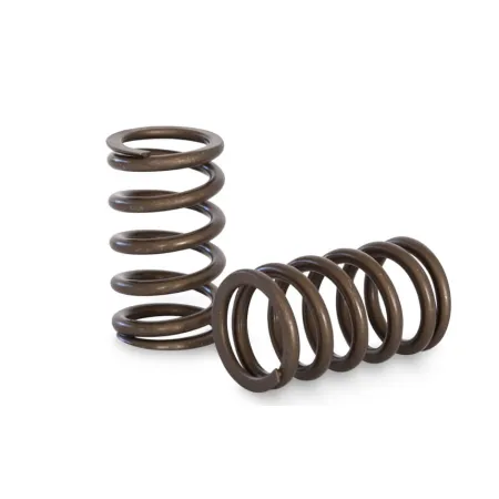 Sprężynki zaworowe Kelford Cams Nissan RB20DET RB25DET