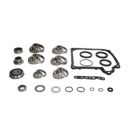 RTMG Performance Zestaw łożysk skrzyni biegów DQ250 02E
