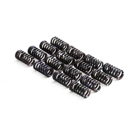 Sprężyna zaworów sztywna RTMG Performance dla 1.4 TSI EA111