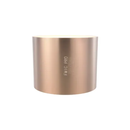 Sportowy wkład katalizatora benzyna FMIC.PRO Euro 5 200 cpsi Średnica 130mm Długość 100mm