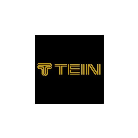 Tein Gold Logo Sticker - 30 cm