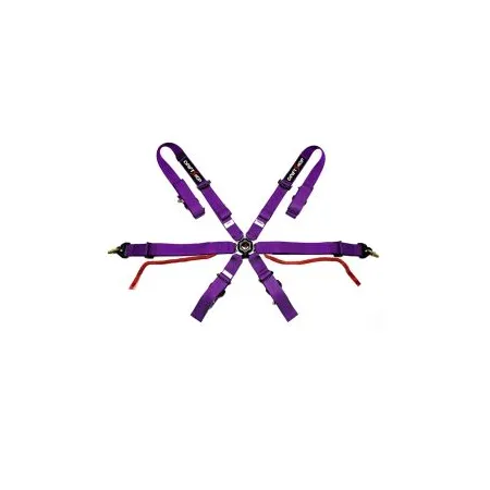 DriftShop 6 Point Harness Purple FIA Approved 8853