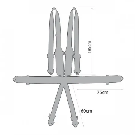 GT2I Sedan Harness Race 6-Points Blue FIA Approved 8853-16 up to 2030