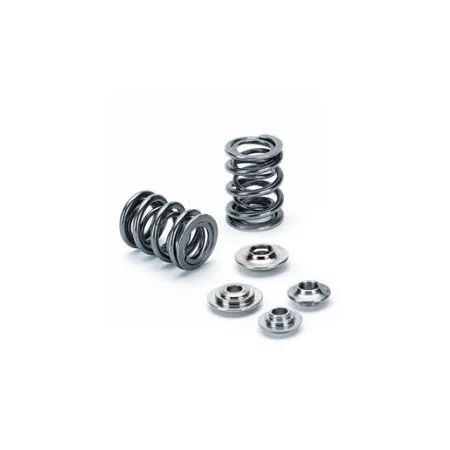 Sprężynki zaworowe Dual SuperTech, Mazda Miata/ MX-5 1.6 (49lbs@36.8mm)