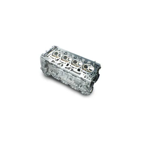 RTMG Performance Cylinder Head Porting 4 Port Stage 5 for 2.0 TSI EA888.3