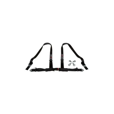DriftShop 4 Point Harness 2" Black Road Approved ECE