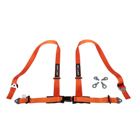 DriftShop 4 Point Harness 2