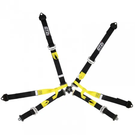 GT2I Pro Single Seater Harness 6-Point Black FIA Approved 8853-2016 up to 2029