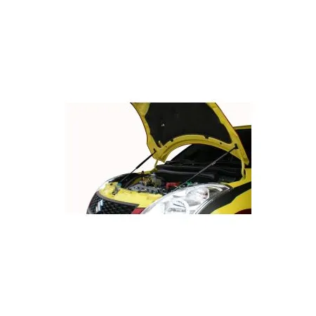 GReddy Carbon Bonnet Struts for Suzuki Swift Sport ZC32S (12-17)