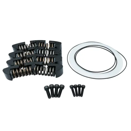 RTMG Performance Zestaw naprawczy koła dwumasowego do DQ250 DQ500