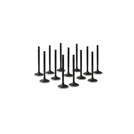 ZRP Std Zestaw Zaworów Dolotowych Zawory Dolotowe Black Nitride do Toyota Supra 3.0L 2JZ