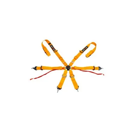 DriftShop 6 Point Harness Orange FIA Approved 8853