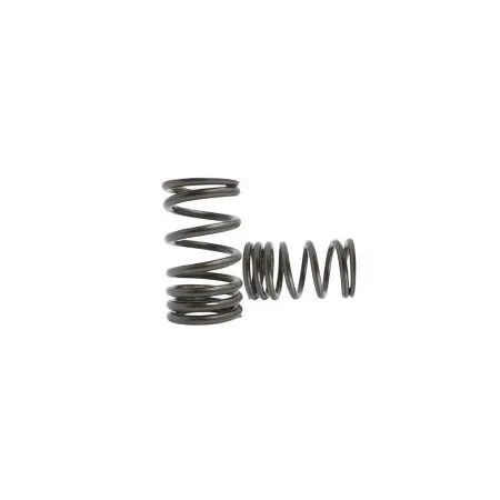 Sprężynki zaworowe Kelford Cams Nissan A12-A15