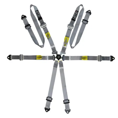 GT2I Sedan Harness Pro V3 Gray FIA Approved 8853-2016 up to 2030