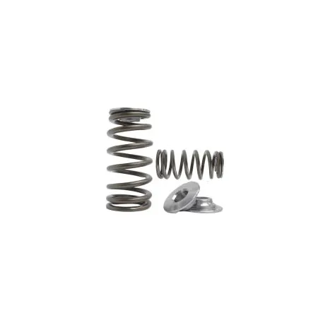Sprężynki zaworowe i talerzyki Kelford Cams Subaru EJ20 (Non STi) V3-V4