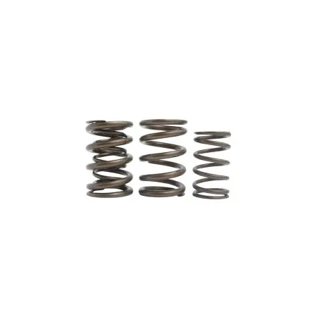 Podwójne sprężynki zaworowe Kelford Cams Nissan SR16VE SR20VE