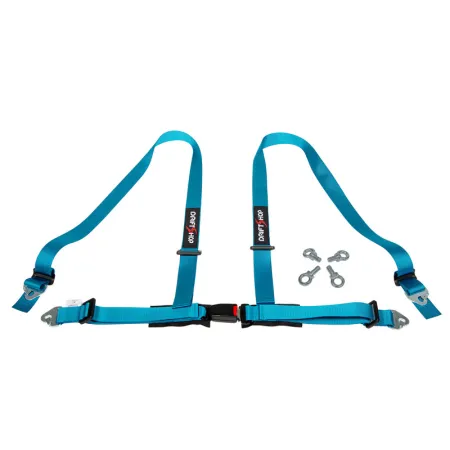 DriftShop 4 Point Harness 2