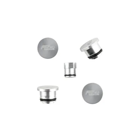 Swirl Flap Removal Kit FMIC.EU for Alfa Romeo Fiat Opel SAAB 1.9 JTD