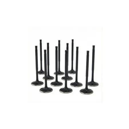 ZRP Std Zestaw Zaworów Dolotowych Zawory Dolotowe Black Nitride do BMW 3.0L N54