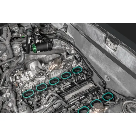 Przewody paliwowe z filtrem 10 um i regulatorem Audi R8 Lamborghini Gallardo Radium Engineering