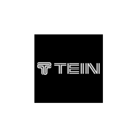 Tein Silver Logo Sticker - 30 cm