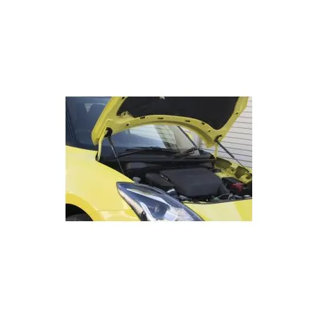 GReddy Carbon Bonnet Struts for Suzuki Swift Sport ZC33S (2017+)