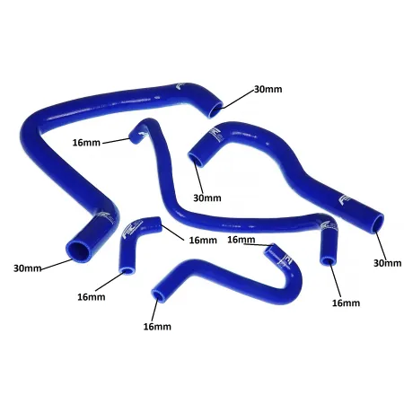 Acura Honda Integra Type-R DC2/DB8 B18C