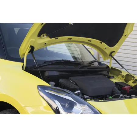 GReddy Carbon Bonnet Struts for Suzuki Swift Sport ZC33S (2017+)