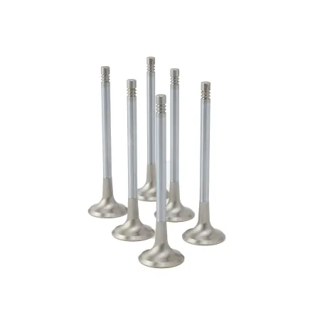 ZRP Std Zestaw Zaworów Wydechowych Zawory Wydechowe Inconel do BMW Mini Cooper 1.5L B38 3-Cylinder