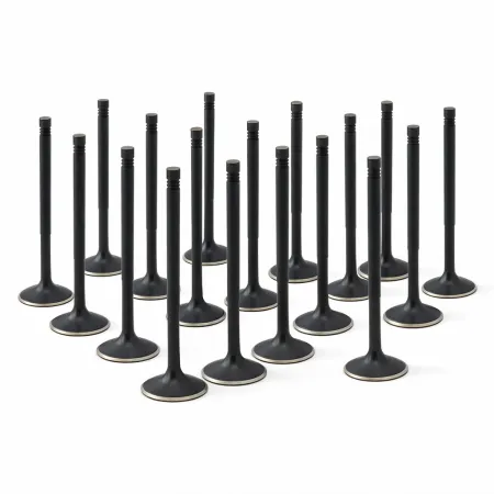 ZRP Std Zestaw Zaworów Dolotowych Zawory Dolotowe Black Nitride do Lamborghini 5.2L Gallardo Huracan 2008-