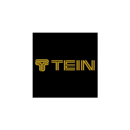 Tein Gold Logo Sticker - 30 cm