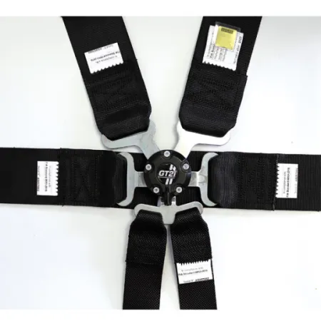 GT2I Sedan Harness Pro V3 Gray FIA Approved 8853-2016 up to 2030