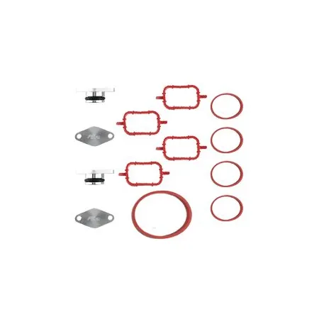 Zestaw do usunięcia klap wirowych FMIC.EU BMW E46 E83 E60 E61 M47N M47TU