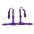 DriftShop 4 Point Harness 2" Purple Road Approved ECE