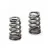 Sprężyny zaworowe Supertech Beehive 23.20mm 7.25LBS 17.60MM ID BMW B58 N54 N55 S55 S63 1szt