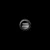 Klawisz 15mm S080 ( VIGEM LOGGER ) Ecumaster