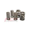 VW / Seat / Skoda / Audi S3 TT 1.8T 2.0 20V Zestaw sprężyn zaworowych FCP