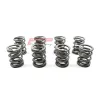 Zestaw sprężyn zaworowych FCP do VW / Audi 1.8-2.0 8V