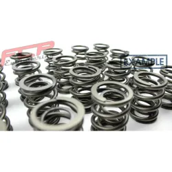 BMW M3 E46 3.2 S54B32 24V Zestaw sprężyn zaworowych wyścigowych FCP