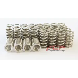 Audi S6 / RS6 C7 4.0 TFSI V8 FCP zestaw sprężyn zaworowych