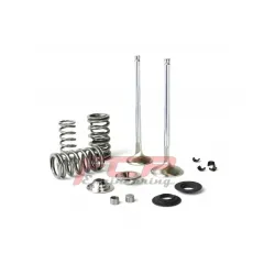 Zestaw zaworów i sprężyn zaworowych Supertech do BMW M3 E46 S54B32 o wysokich obrotach