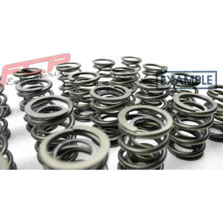 BMW M3 E46 3.2 S54B32 24V Zestaw sprężyn zaworowych wyścigowych FCP